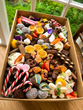 Dessert Box - fully disposable